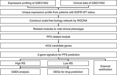 Bioinformatics-Based Identification of HDAC Inhibitors as Potential Drugs to Target EGFR Wild-Type Non-Small-Cell Lung Cancer